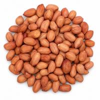 Arašídy, kalorie a nutriční hodnoty