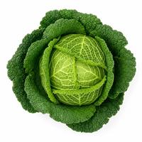 Kapusta hlávková, kalorie a nutriční hodnoty