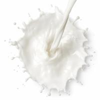 Mléko tučné, kalorie a nutriční hodnoty