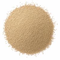 Sušené droždí, kalorie a nutriční hodnoty