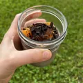Chia pudink s meruňkami a čokoládou, recept z Nutrikalkulačky