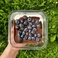 Luxusní míša řezy, recept z Nutrikalkulačky